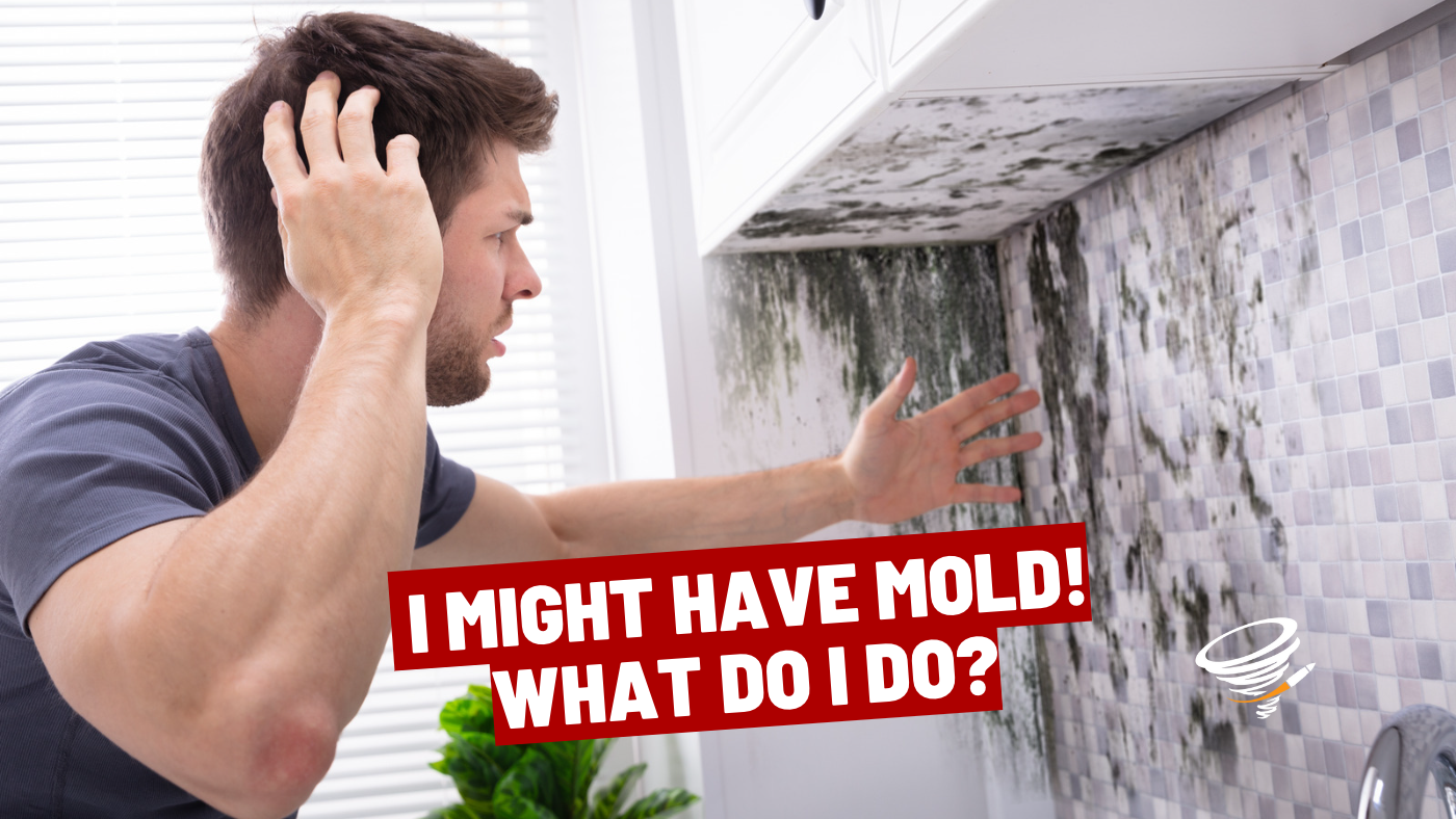 Mold damage